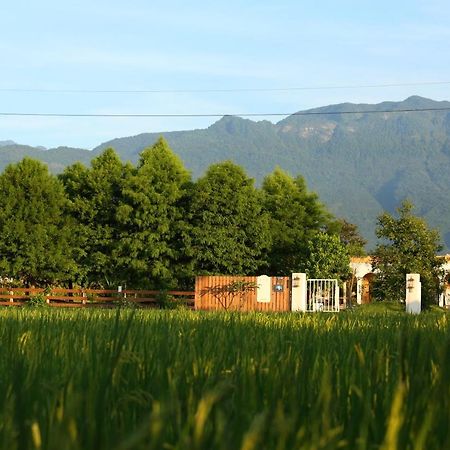 Focaccia Manor B&B Fengping Bagian luar foto